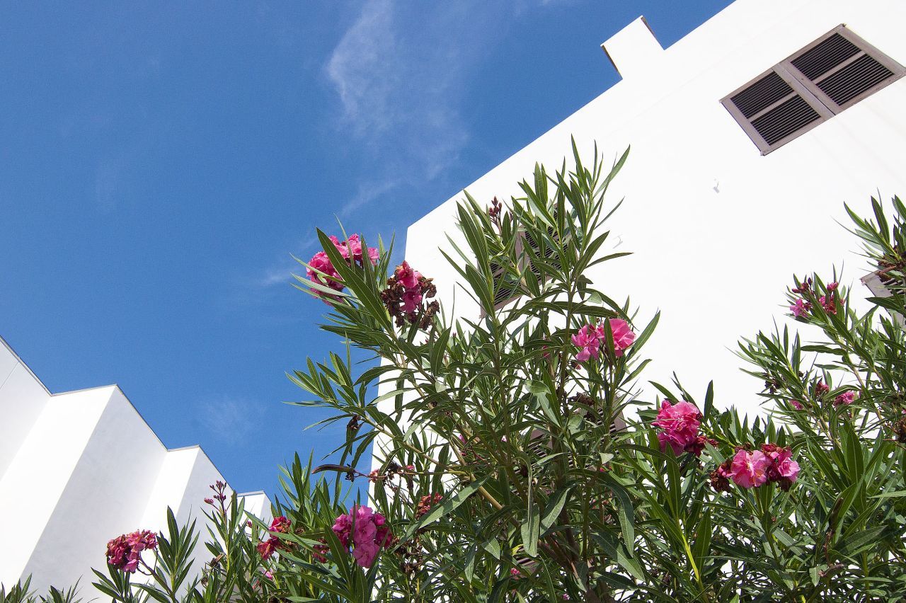 Apartamentos Pou Des Pujols Exterior photo